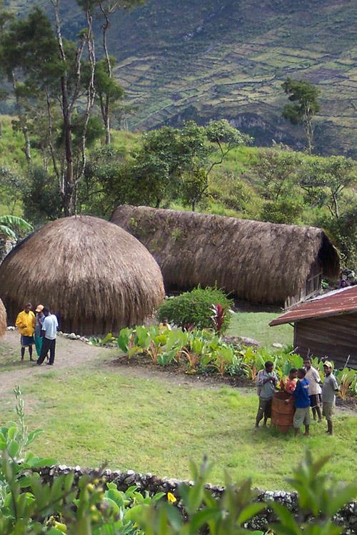 A village scene in PNG